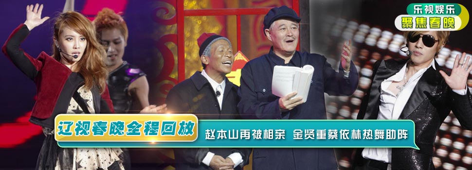 辽宁卫视春节联欢晚会全程回顾