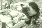 评委陈年囧曲合辑