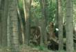 第10集