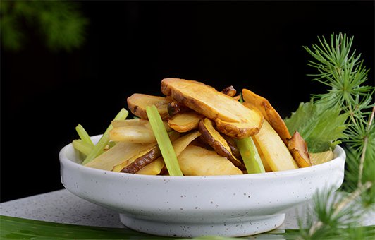 马蹄牛肝菌（深山遇上浅水）
