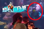 乃爸为甜心潜水捡鲨鱼牙齿