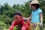 合辑：宜兰田园种菜