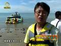 《旅游新时空》20130324：畅游杨贵妃“贡园荔枝”