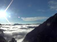 环保类山水乡村之眼——虫草