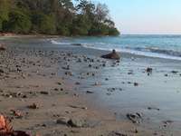 The Jungle 3D Magic of Another World-丛林：神奇的另一个世界