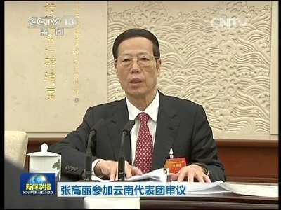 [视频]张高丽参加云南代表团审议