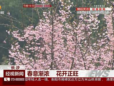 长沙：春意渐浓 花开正旺