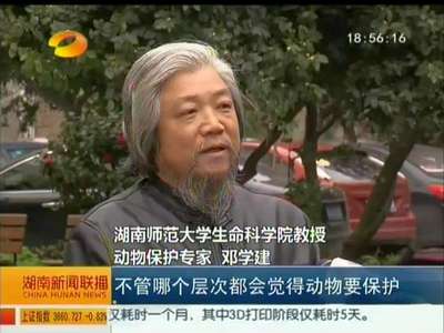 热议《奇妙的朋友》