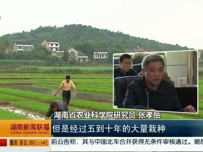 湖南省农科院专家就安徽超级杂交稻绝收事件座谈