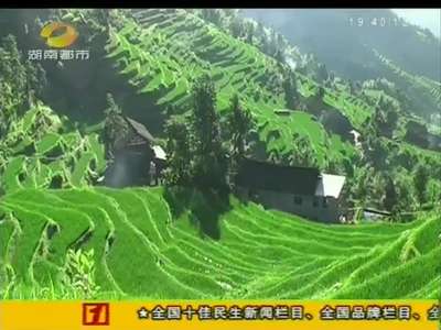 新化紫鹊界梯田：梯田逐年荒废 华丽外衣退化