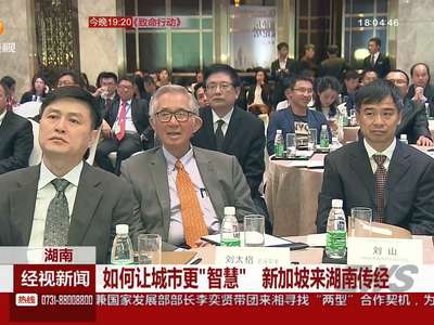 如何让城市更“智慧” 新加坡来湖南传经