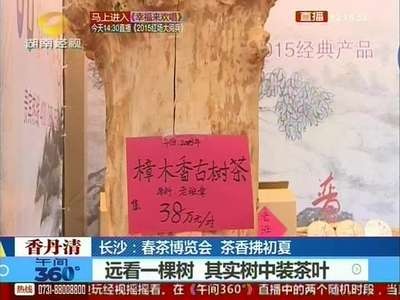 长沙：春茶博览会 茶香拂初夏