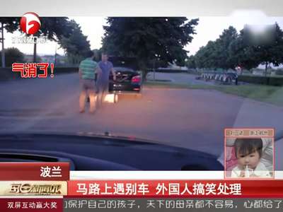 [视频]马路上遇别车 外国人搞笑处理