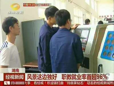 风景这边独好 职教就业率首超96％
