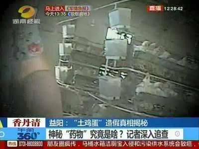 益阳：“土鸡蛋”造假真相揭秘