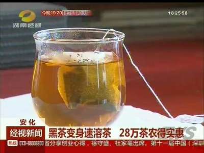 安化黑茶变身速溶茶 28万茶农得实惠