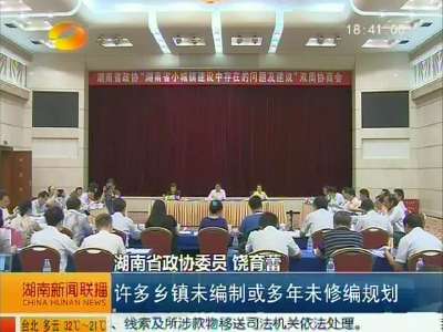 湖南省政协双周协商会 探讨小城镇建设