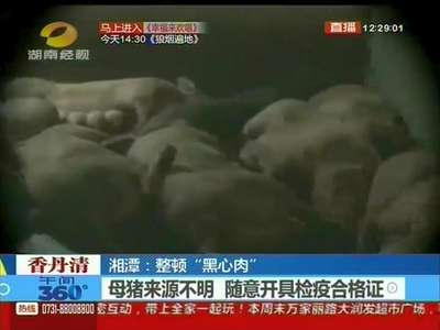 湘潭：整顿“黑心肉”母猪来源不明无检疫标识