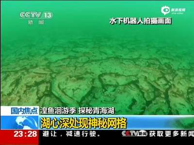 [视频]青海湖水下世界首曝光 湖心深处现神秘网格