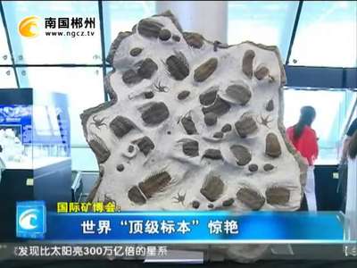 郴州：国际矿博会：世界“顶级标本”惊艳