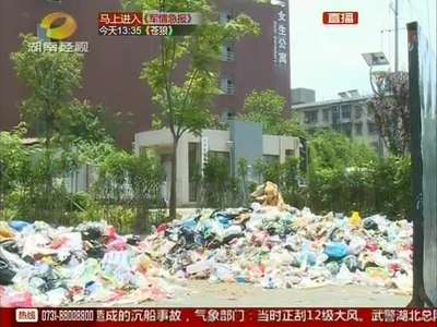 长沙：垃圾包围教师宿舍 臭不可闻考生无心复习