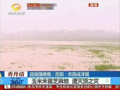 迎战强降雨：岳阳农田成泽国