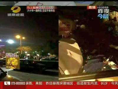 长沙一奥迪车肇事 致一死多伤