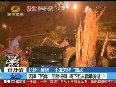 长沙某小区“天降”路虎 原来是女司机