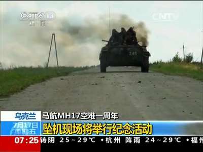 [视频]马航MH17空难一周年 乌克兰：坠机现场将举行纪念活动