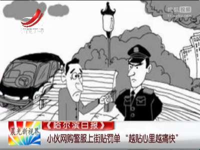 [视频]小伙网购警服上街贴罚单 “越贴心里越痛快”