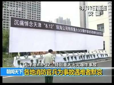 [视频]天津港“8·12”特别重大火灾爆炸事故 各地消防官兵为事故遇难者默哀