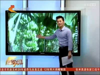 [视频]大学生奇葩暑期报告 从地里挖出香蕉