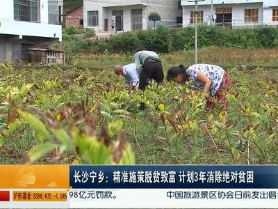 长沙宁乡：精准施策脱贫致富 计划3年消除绝对贫困