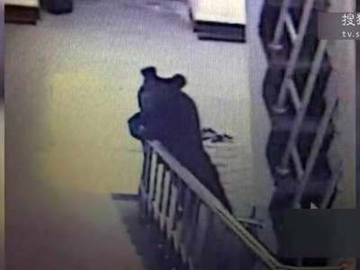 [视频]黑龙江一中学教室闯进黑熊 被警方击毙