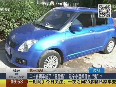 [视频]二十多辆车成了“花脸猫” 这个小区闹什么“鬼”