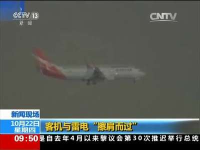 [视频]新闻现场：客机与雷电“擦肩而过”
