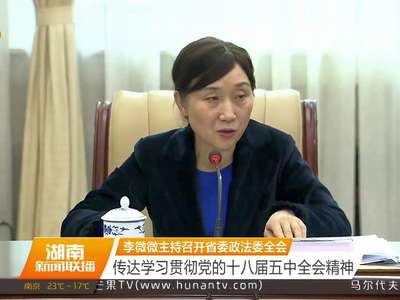 李微微主持召开省委政法委全会