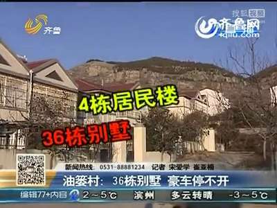[视频]村民上海卖煎饼年收入几十万 住别墅开豪车 