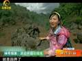 《旅游新时空》20130616：神奇镇康-探秘跨国溶洞
