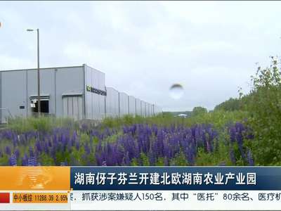 湖南伢子芬兰开建北欧湖南农业产业园