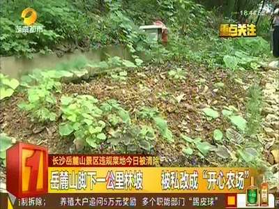 长沙岳麓山景区违规菜地被清除