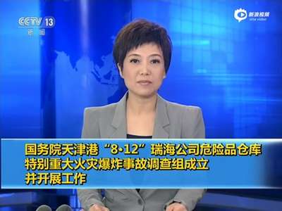 [视频]国务院成立天津爆炸事故调查组 杨焕宁任组长