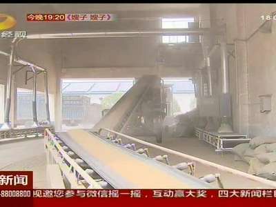 夏粮收购进行时 粮车满满忙排队