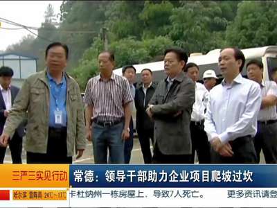 常德：领导干部助力企业项目爬坡过坎
