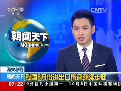 [视频]海关总署：我国8月份进出口增速继续走低