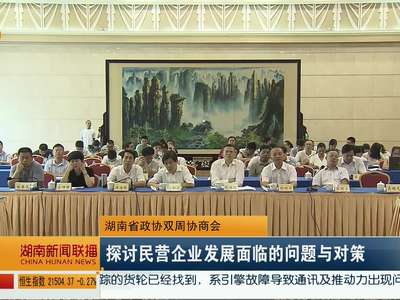 湖南省政协双周协调会：探讨民营企业发展面临的问题与对策