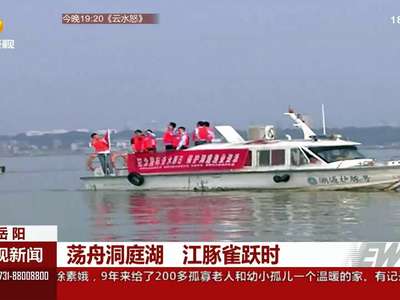 荡舟洞庭湖 江豚雀跃时