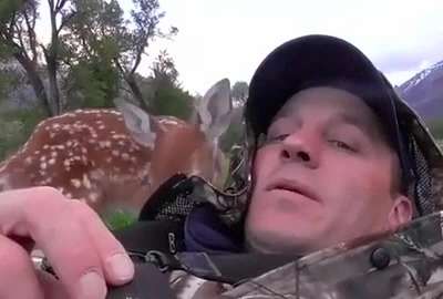 [视频]受伤小鹿公园附近获救 不愿离开救命恩人