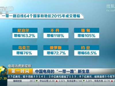 [视频]电商消费新观察：“海淘一族”热情高 国内电商竞相“出海”