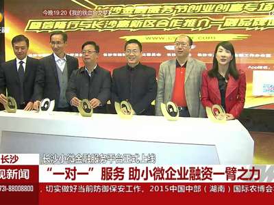长沙小微金融服务平台正式上线